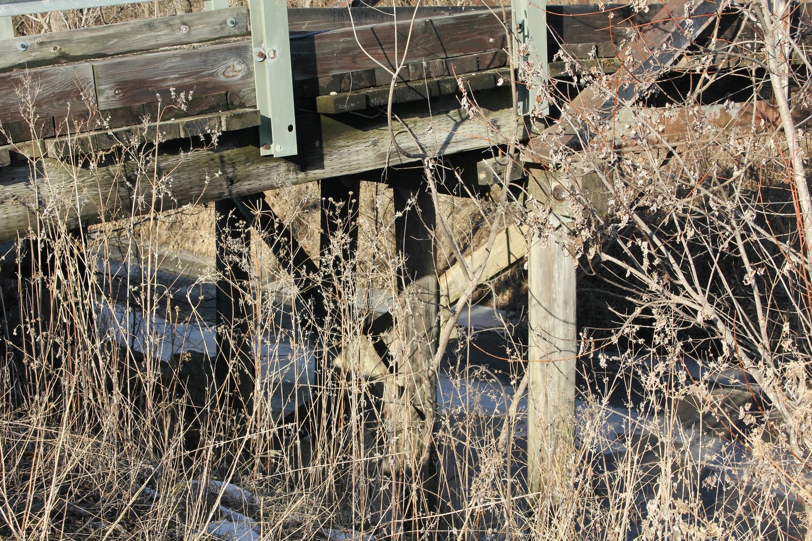 South pier